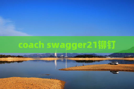 coach swagger21铆钉